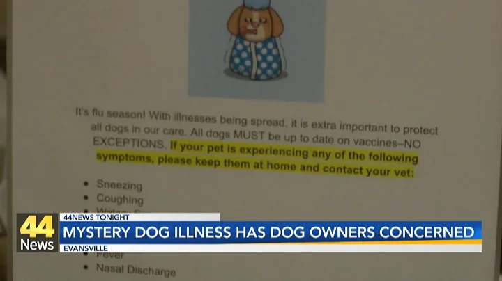 A mystery illness is leaving dog owners concerned as the virus spreads across the U.S.