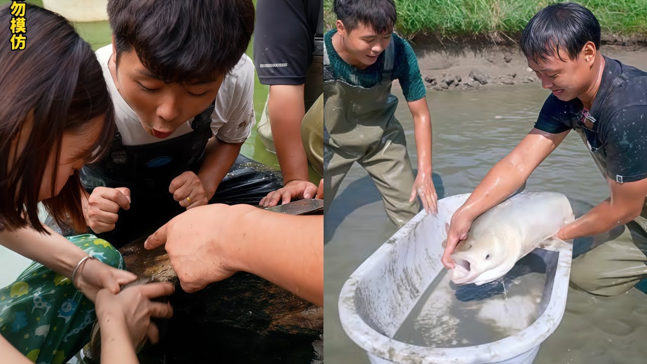 花1000元包下一个废弃的山谷塘，没想到里面竟然有“金珍珠”？