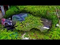 ABANDONED RARE CARS OF JAPAN!
