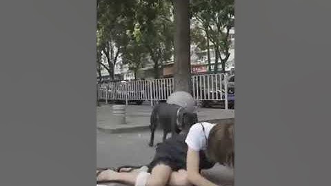 Hummm ce chien est très intelligent.
