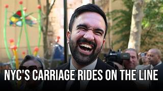 Mayor Mamdani Moves to End NYC’s Horse-Drawn Carriage Industry
