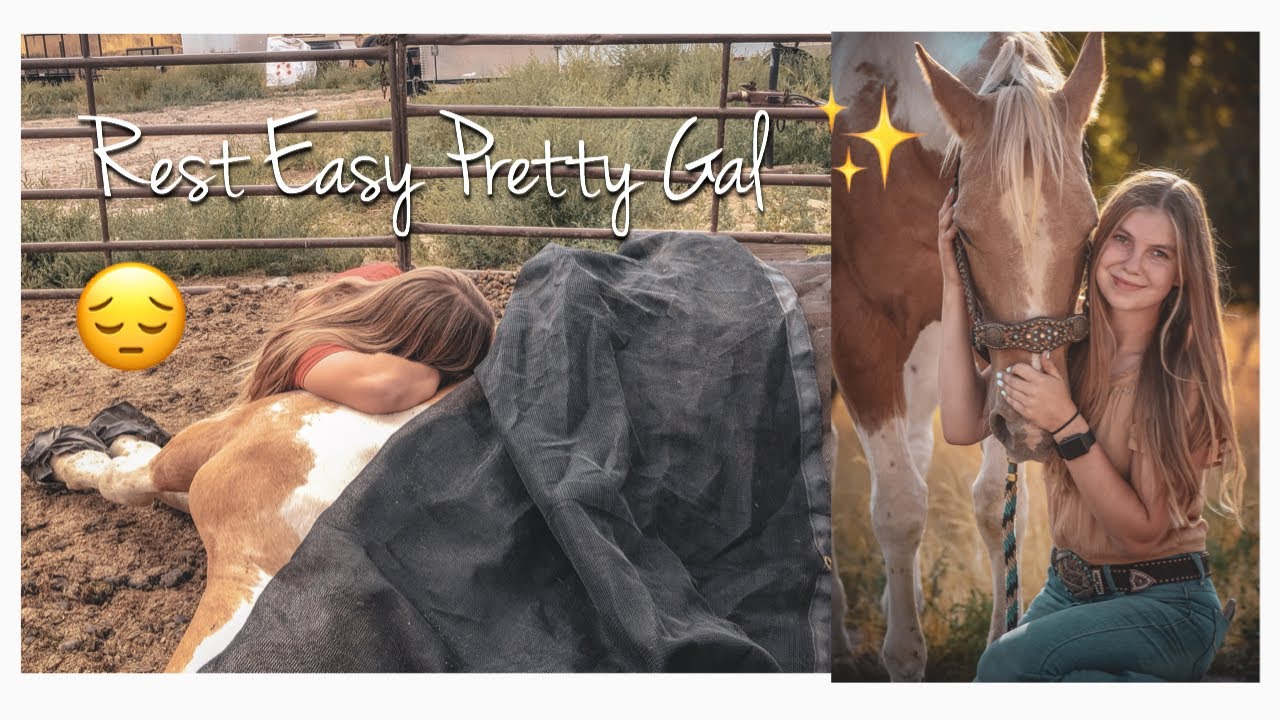 We Had To Put Our Horse Down