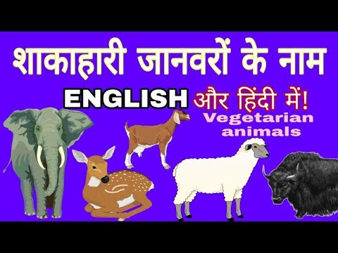 वीडियो: शाकाहारी और शाकाहारी कौन हैं