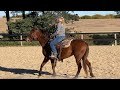 Fixing A HARD Mouthed Horse 