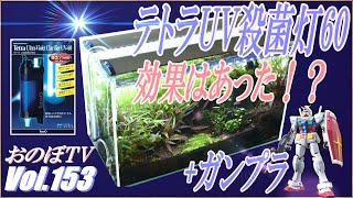 【テトラUV殺菌灯60】 １ヶ月使って 結局効果はあったのか！？  #153