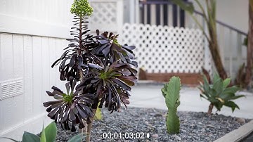 GRANNY FLAT SAN DIEGO: THE BEACH CASITA