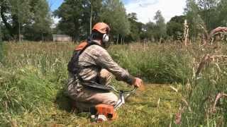 Strimmers & Brushcutter Tree Surgery Courses - Kingswood Training Services