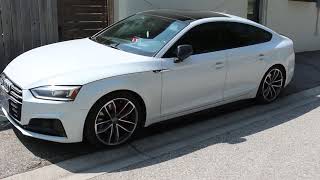 Transforming My B9 Audi S5 Sportback with Plasti Dip | Car Customization