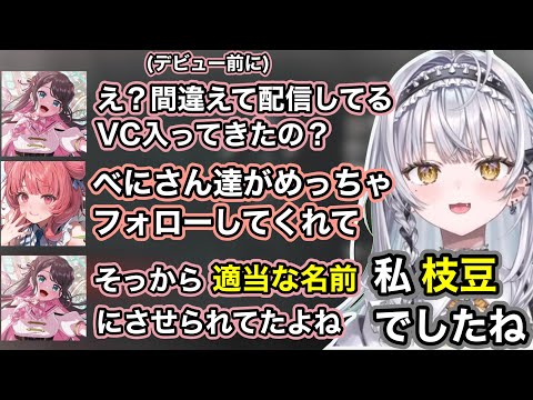 【APEX】あかりんのデビュー前のやらかしに笑う銀城サイネ【銀城サイネ/夢野あかり/花芽なずなぶいすぽ/切り抜き】