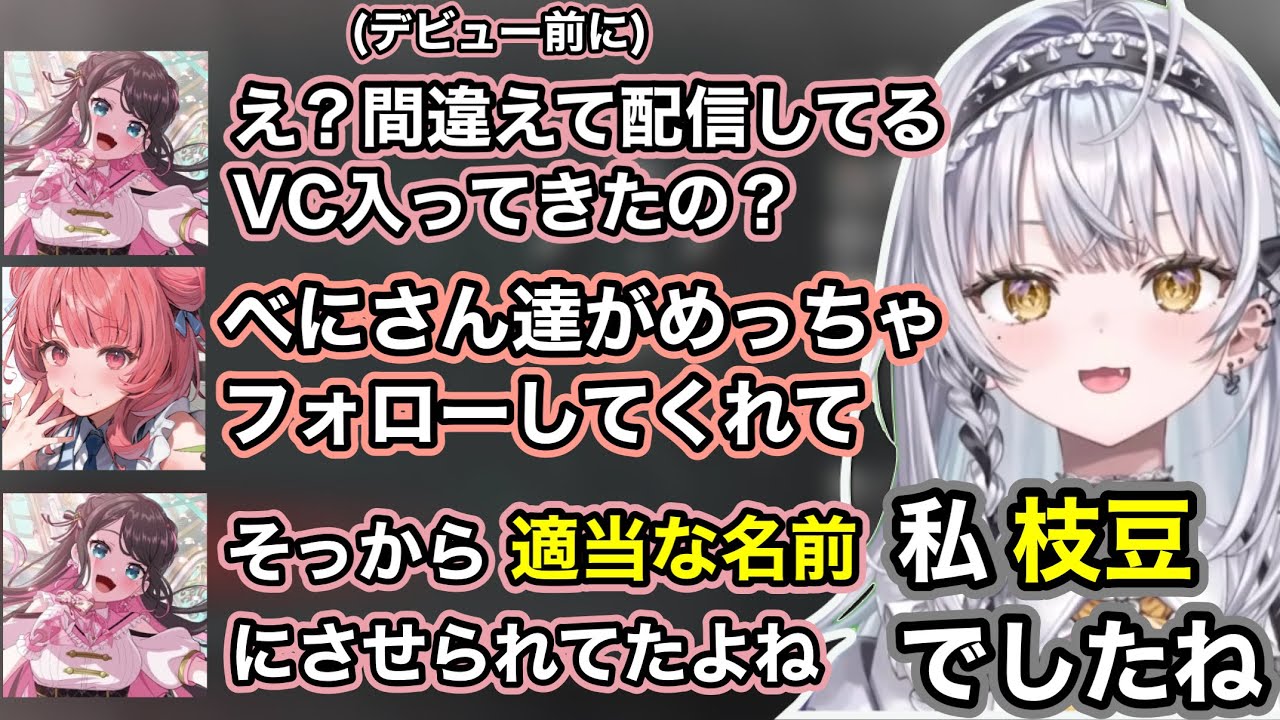 【APEX】あかりんがデビュー前に間違えて配信中のVCに入った話に笑う銀城サイネ【銀城サイネ/夢野あかり/花芽なずな/ぶいすぽ/切り抜き】