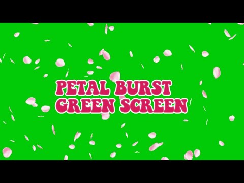 PETAL BURST GREEN SCREEN (Free to Download)