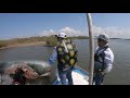 Pesca en el Conchal Culiacán Sin. | Lupe Lofish