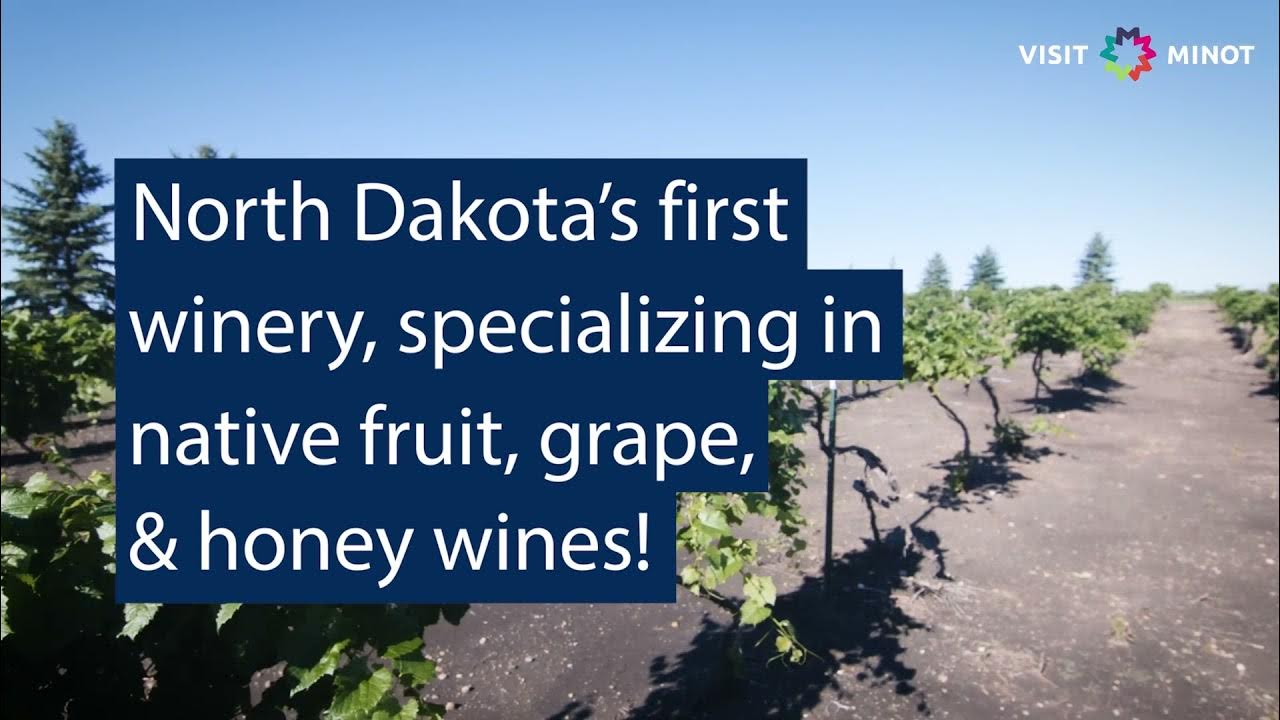 Pointe of View Winery YouTube