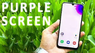 Why Android Amoled Display Turns Purple - REASONS and SOLUTIONS.