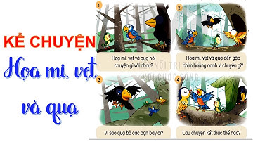 Kể chuyện : Họa mi, vẹt và quạ | Tiếng Việt 2 - Tuần 8 | Kết nối tri thức | 10 Phút Học Bài