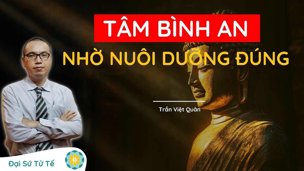 TÂM BÌNH AN NHỜ THỨC ĂN ĐÚNG | TRẦN VIỆT QUÂN