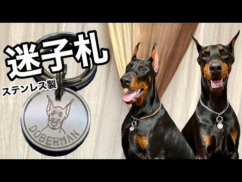 犬の迷子札【Doberman】