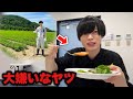 【Vlog】育てたからには責任を持っていただきます。『食欲の秋なので今年もライブやります』inコーチャンフォー新川通り店