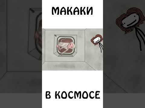 Видео: Макаки в космосе #животные #космос #сэмонелла #шортс #авызналиэто #иф