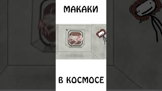 Макаки в космосе #животные #космос #сэмонелла #шортс #авызналиэто #иф