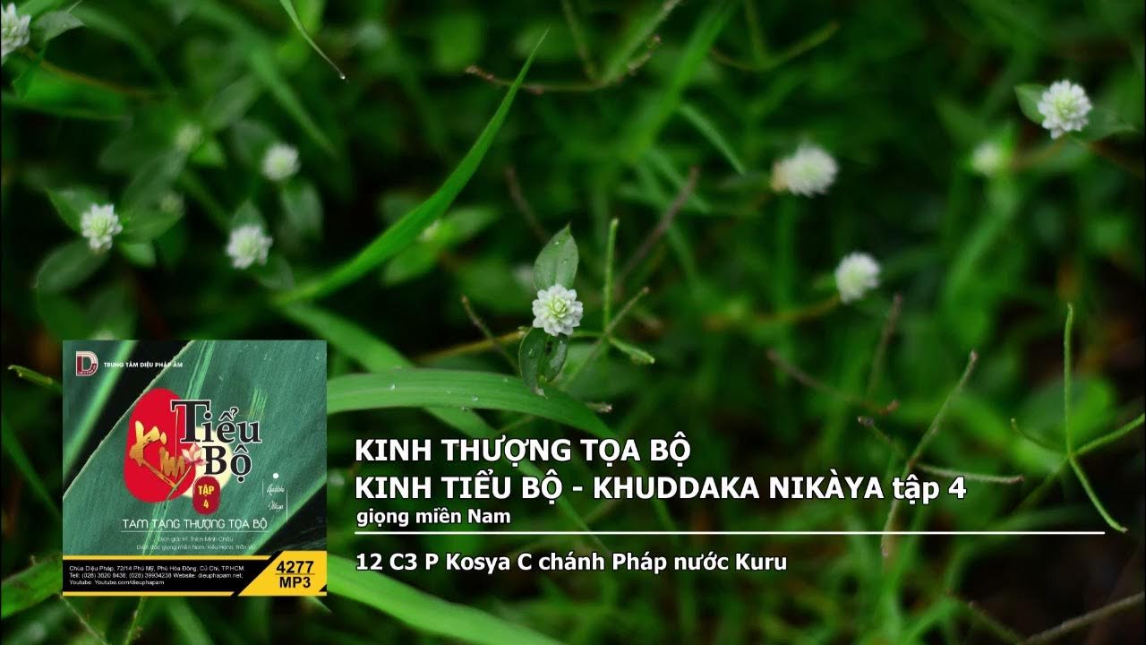 Tập 4 – 12 C3 P Kosya C chánh Pháp nước Kuru giọng miền Nam 