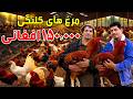 Sozha Game Fowls At AFN 150 000 سوژه مرغ های کلنگی ۱۵۰ ۰۰۰ افغانی Sozha Game Fowls At AFN 150 000 سوژه مرغ های کلنگی ۱۵۰ ۰۰۰ افغانی