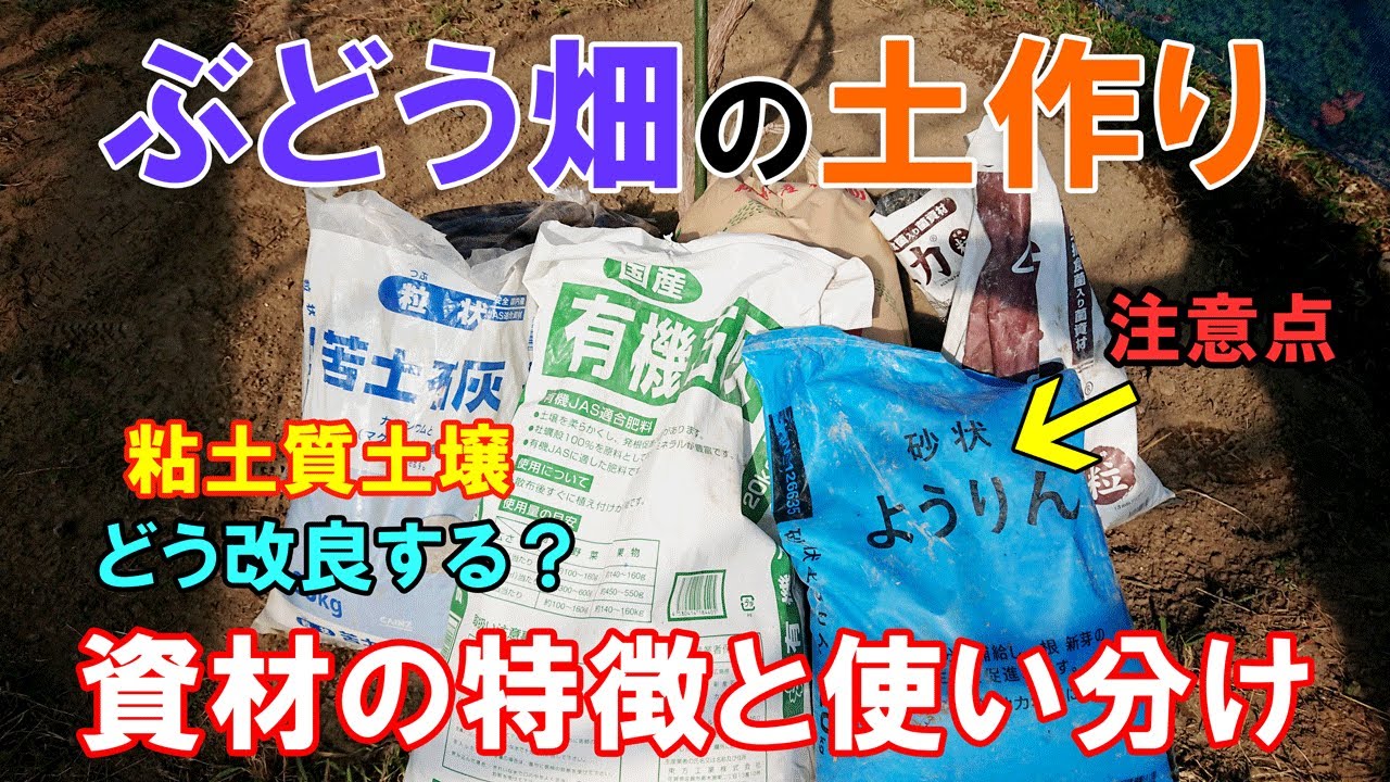 ぶどう畑の土作り　アルカリ性資材の特徴と使い分け　土壌改良と元肥のやり方