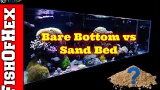 Bare Bottom vs Sand Bed Aquariums | Pros & Cons | Making The Switch