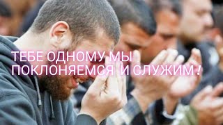 ПОЧЕМУ УММА ПРОРОКА МУХАММАДА НЕ ОБЬЕДЕНИТСЯ !?