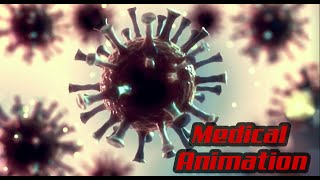 Animasterstudio Medical Animation showreel 2022