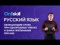 Русский язык 8 класс: Обобщающие слова при однородных членах и знаки препинания при них