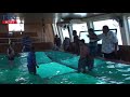 Hurghada Boat Breaks Guinness World Record for Largest Glass Bottom