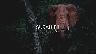 Surah Fil  105  15   Fatih Seferagic