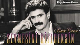 Birce Sevmesi̇ni̇ Bi̇leceksi̇n Hüseyin Altin Anisina Cover 70S