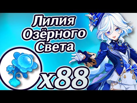 🔴Лилия Озёрного Света🔴Фурина🔴Маршрут сбора Лилий озёрного света🔴Где найти Лилии🔴Геншин 4.2