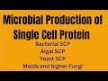 Microbial production of single cell protein  scp  bacteria  yeast  algae  fungi  microbiology