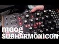 moog Subharmonicon FirstImpression初めてのMoog
