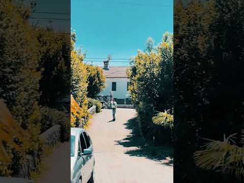 #viral