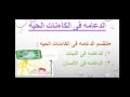 شرح الدعامه فى النبات للصف الثالث الثانوى ا ندى عاطف عبد العزيز شرح الدعامه فى النبات للصف الثالث الثانوى ا ندى عاطف عبد العزيز