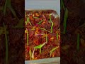 🍽️ Amazing Catering Food Preparation in Sri Lanka | Professional Kitchen Work🧑🍳💥