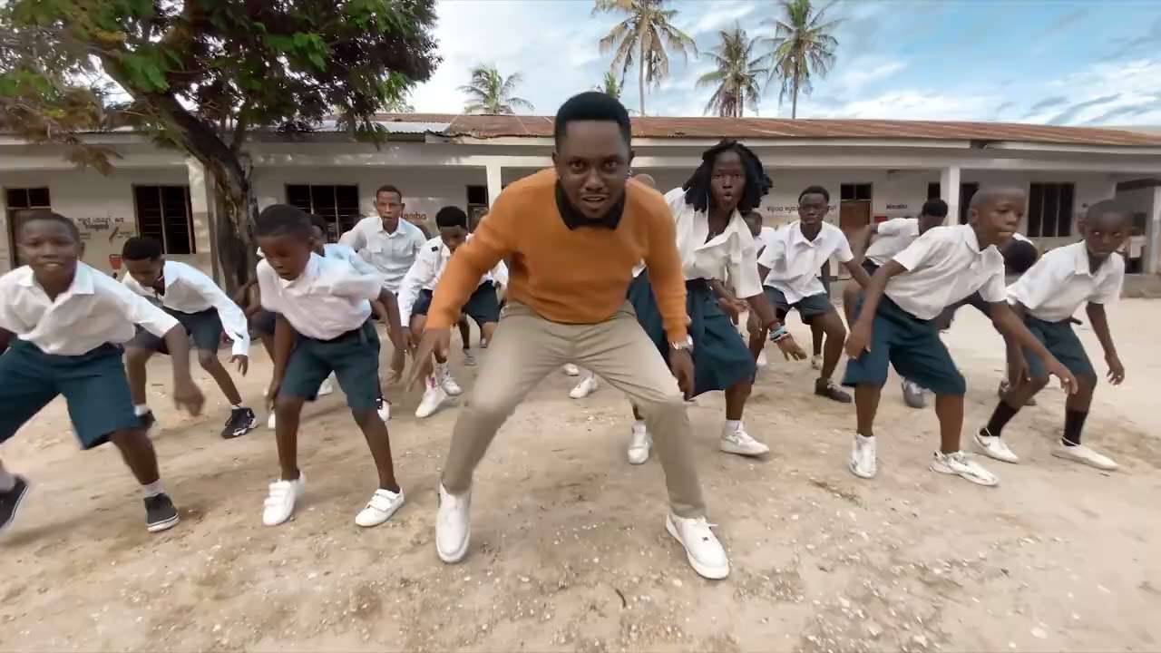 Msami  ft. Dk. Mama Samia - Dont touch (Dance Video)