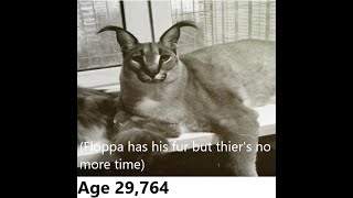 The Life cycle of A Floppa (YOU WILL CRY)