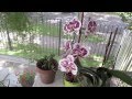 New Orleans Plant Nursery