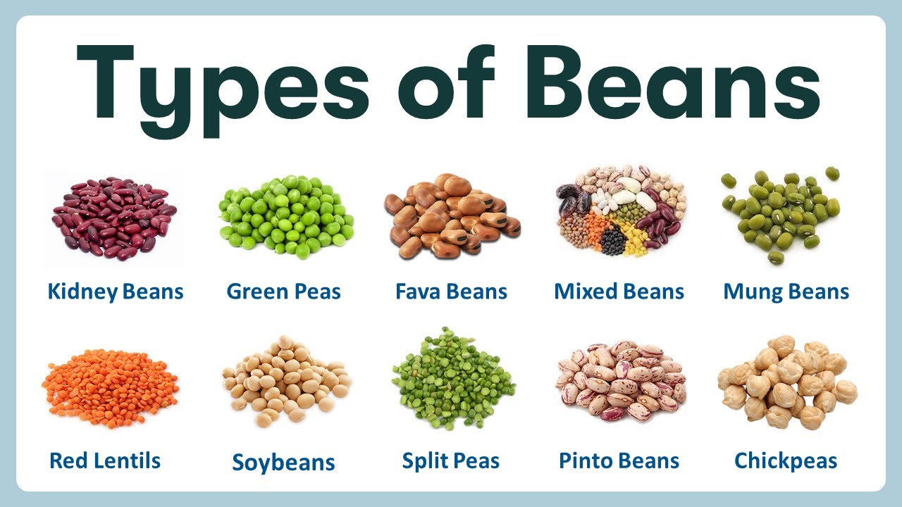 Types of Beans | Learning Name of Beans in English with Pronunciations ...