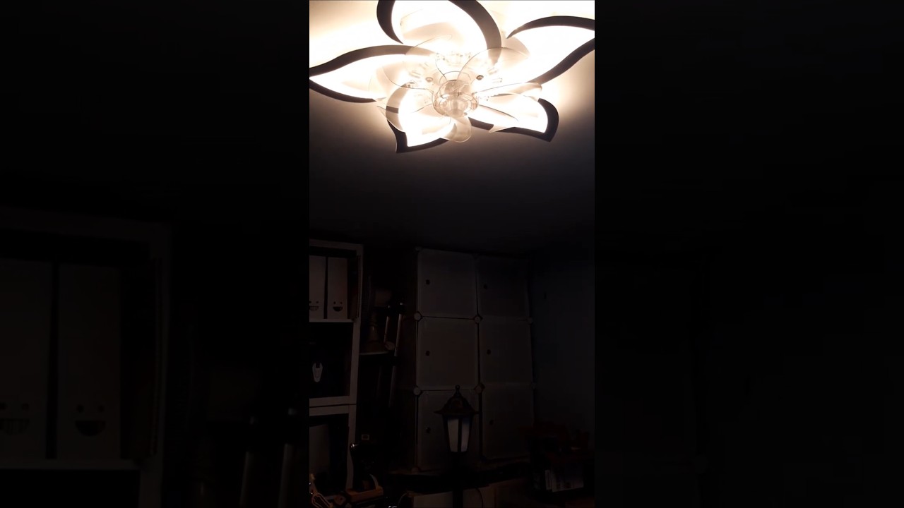 Pencahayaan Sempurna untuk YouTube di Rumah Anda Mungkin Sudah Memilikinya!