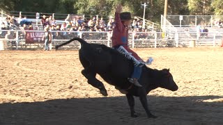 Little Buckaroos: A Summit County Fair Rodeo Tradition