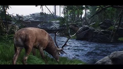 ☑️ Tropical Forest (Speed Level Design / Unreal Engine 4)
