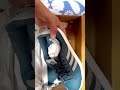 parcel aa gaya ✅(18)#minivlog #shorts ￼