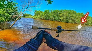 ⚠️ GIANT SNOOK snatched the rod from my hand | Snook fishing in the mangroves with artificial lures