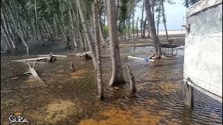 Vazhai en vazhvai vazhave Whatsapp status - the life of ram mp3 song- 96